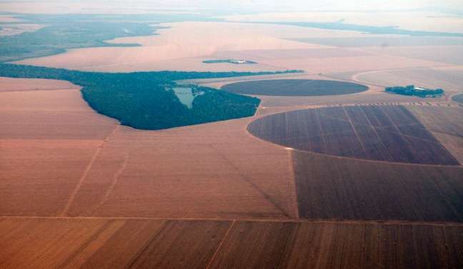 Vista aérea de plantação de soja no Mato Grosso
09/09/2011
REUTERS/Paulo Whitaker