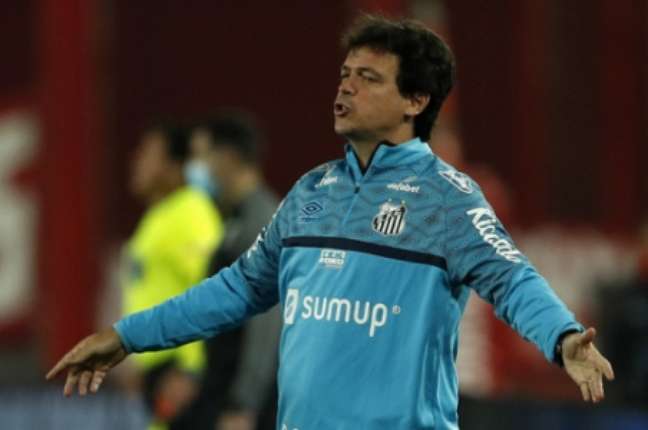 Fernando Diniz é técnico do Santos desde maio deste ano (Gustavo ORTIZ / POOL / AFP)
