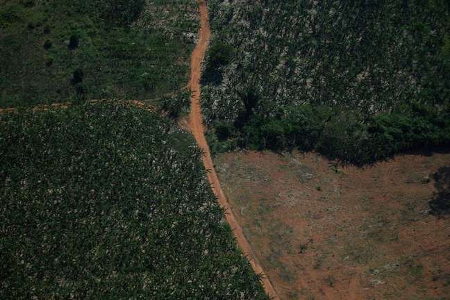Vista aérea de região desmatada da Amazônia em Rondônia
28/09/2021 REUTERS/Adriano Machado
