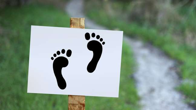 Ainda é considerado impossível calcular com precisão o impacto total do consumo humano no ecossistema | Crédito: Thinkstock Ainda é considerado impossível calcular com precisão o impacto total do consumo humano no ecossistema | Crédito: Thinkstock
