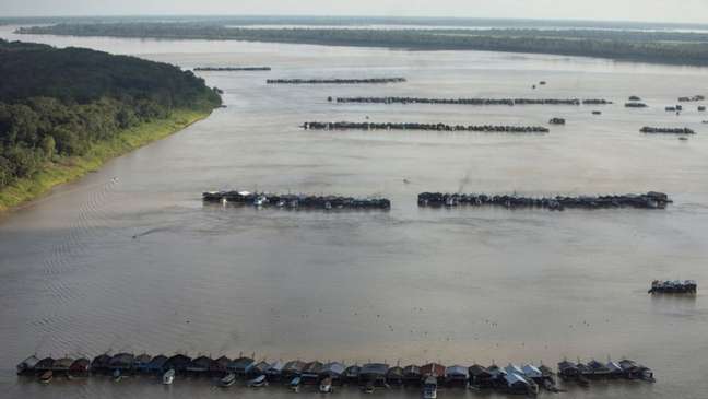 O MPF no Amazonas pediu ações emergenciais para a retirada das balsas O MPF no Amazonas pediu ações emergenciais para a retirada das balsas
