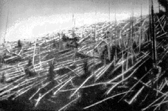 A floresta em Tunguska, fotografada por uma expedição em 1929. 