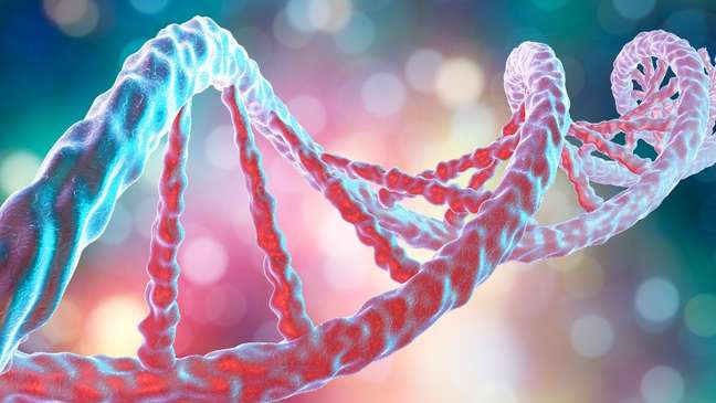 Cientistas investigam o DNA de pessoas que, mesmo expostas, não foram infectadas pelo coronavírus