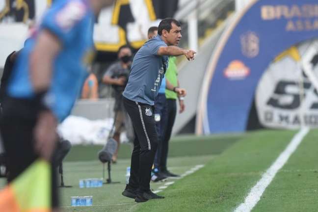 Técnico Fábio Carille viu o Santos merecedor da vitória no Sul ( Ivan Storti/Santos FC)