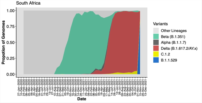 Um gráfico divulgado pelas autoridades da África do Sul mostra as variantes de coronavírus mais dominantes no país ao longo da pandemia. Após 'domínio da delta' (mancha vermelha), ômicron (mancha azul) está rapidamente ganhando terreno