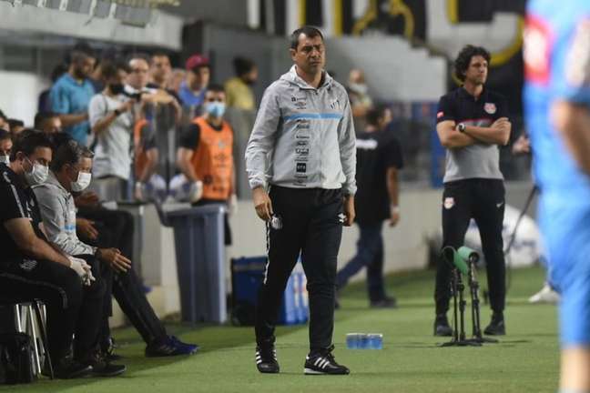 Carille foi contratado para salvar o Santos do rebaixamento (Foto: Ivan Storti/Santos FC)