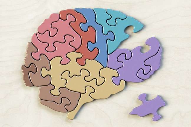 As alterações ocorrem em regiões do cérebro que ajudam na criação dos filhos