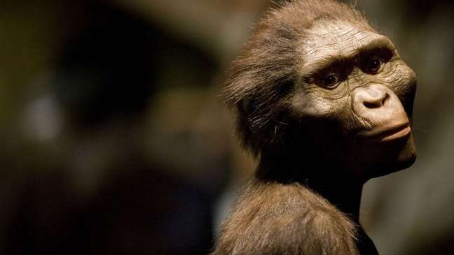 Reprodução do que viria a ser Lucy, da espécie de Australopithecus afarensis