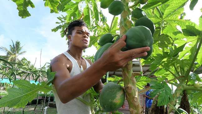 Taiwan financia a fazenda Fatoaga Fiafia, em Tuvalu, para cultivar alimentos em condições controladas. O terreno teve que ser importado devido à salinidade do solo