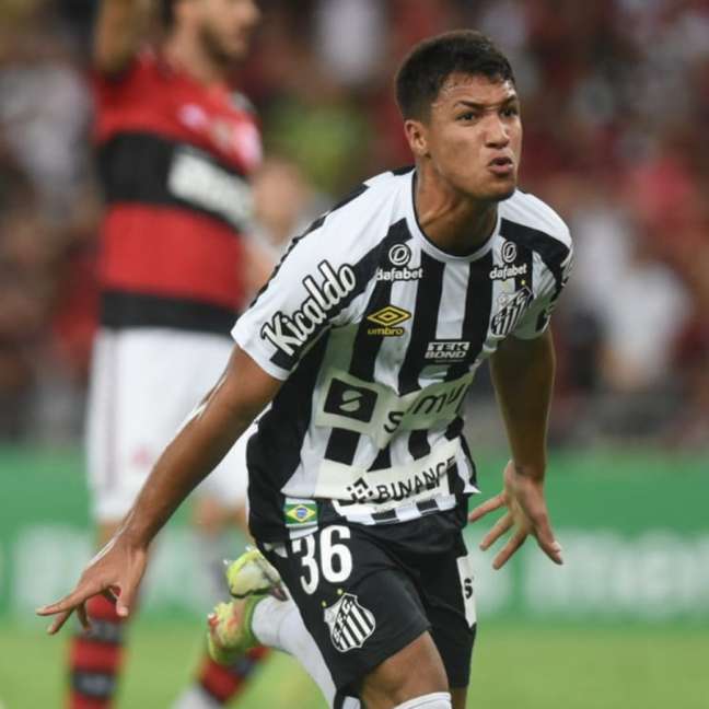 Marcos Leonardo comemora seu gol contra o Flamengo (Foto: Divulgação/Santos)