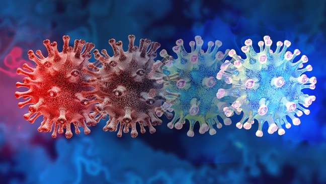 Não basta saber quantas ou quais mutações têm uma variante do vírus, saber o risco que representa é um fator determinante