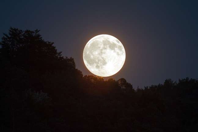 Lua Nova em Capricórnio abre o ano com chave de ouro 