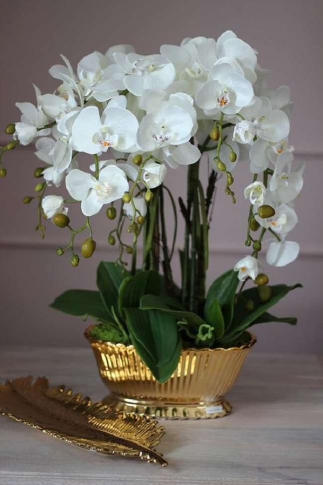 62. Vaso cor dourada para orquídeas brancas – Foto Tendom