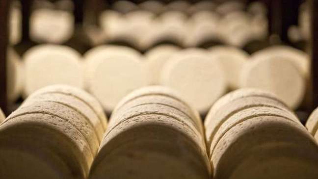 O queijo tem fama de induzir pesadelos ou sonhos intensos quando consumido tarde da noite. Mas isso tem alguma comprovação? O queijo tem fama de induzir pesadelos ou sonhos intensos quando consumido tarde da noite. Mas isso tem alguma comprovação?