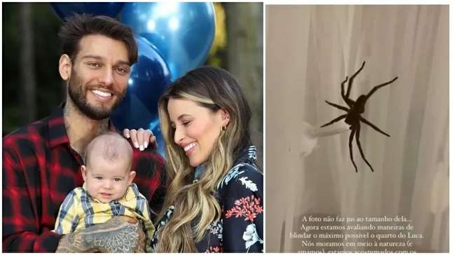 Lorena Carvalho achou uma aranha no berço do filho, Luca, de 10 meses Reprodução/Instagram