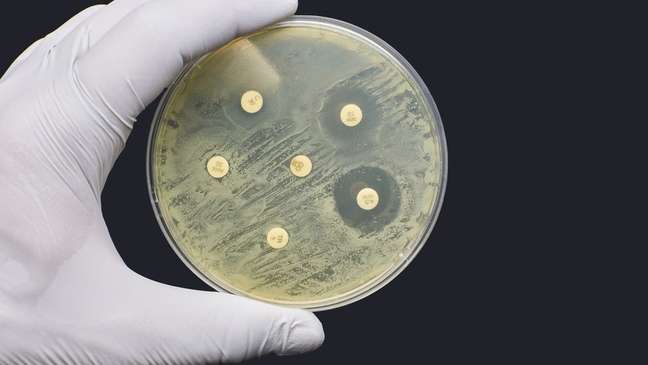 Teste laboratorial de resistência antimicrobiana