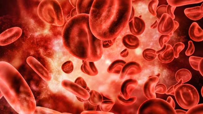 Os glóbulos vermelhos viajam por suas veias e artérias a cerca de 2 quilômetros por hora
