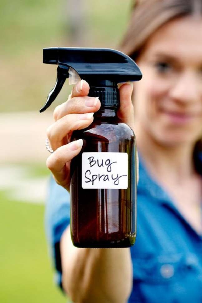 1. Repelente caseiro em spray para casa – Foto Bon Aippetit