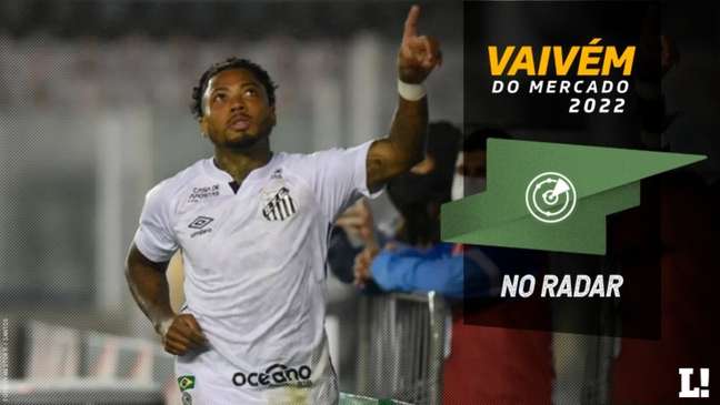 O Flamengo irá tentar a contratação de Marinho (Ivan Storti / Santos)