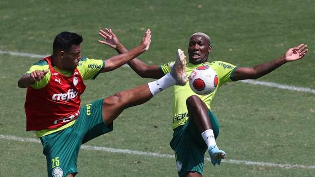 Entre broncas, desabafos, polêmicas e corte do Mundial, crias do Palmeiras têm Paulistão para se firmar
