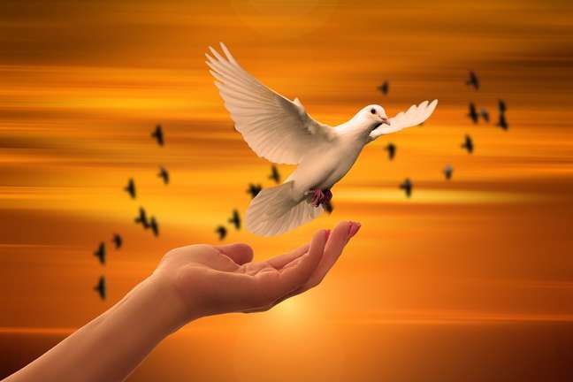 A pomba é um dos símbolos da paz 