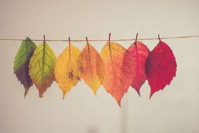 cores para o outono