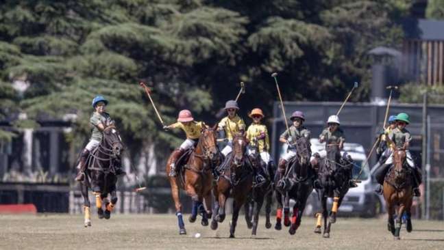 polo esporte feminino