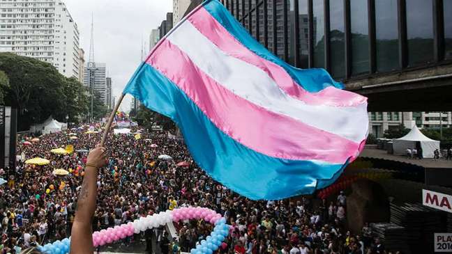 Imagem mostra um braço levantando a bandeira trans na Parada Pela Diversidade em São Paulo