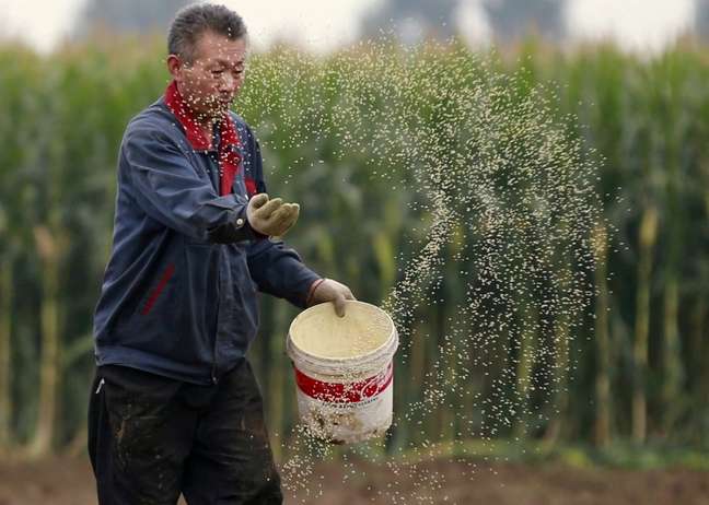 Agricultor em plantação de milho em Gaocheng
30/9/2015 REUTERS/Kim Kyung-Hoon