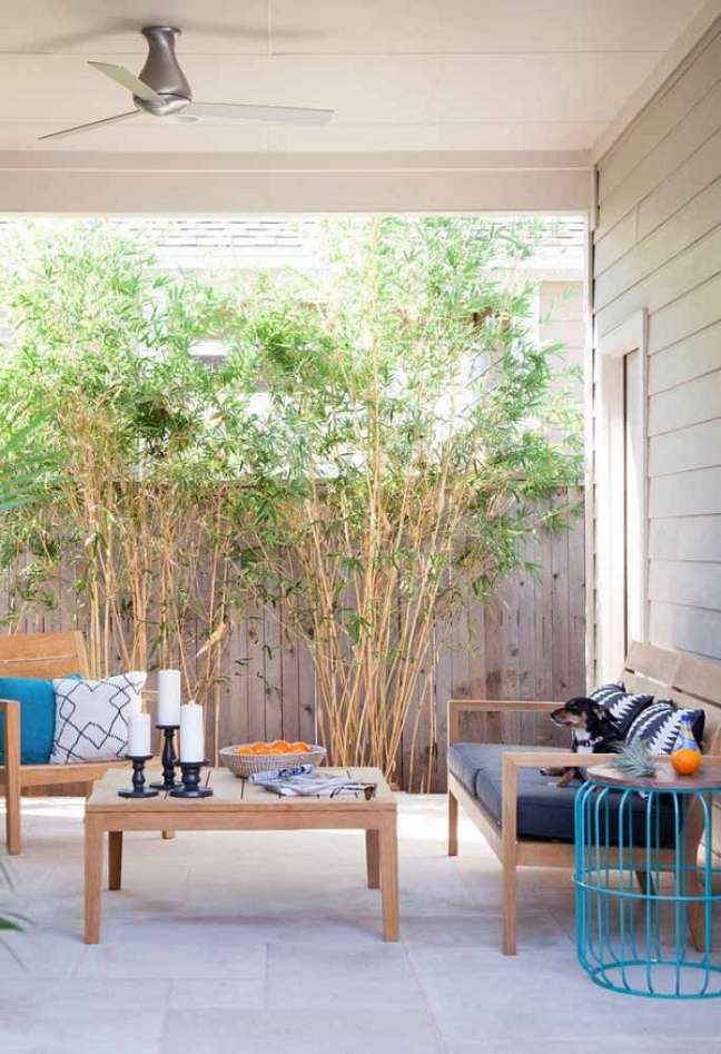 20. Bambu ornamental para quintal moderno – Foto Decor Facil