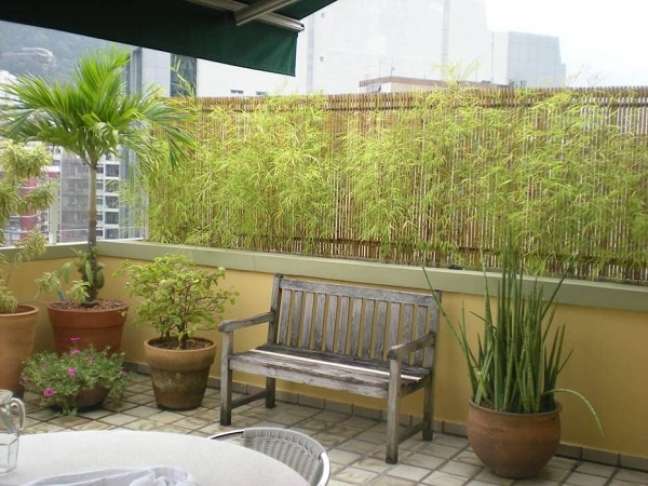 11. Bambu ornamental com plantas e na decoração da varanda – Foto Homify
