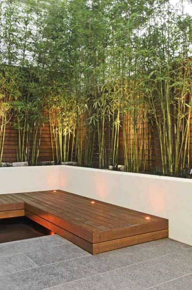 19. Bambu ornamental para quintal – Foto Decor Facil