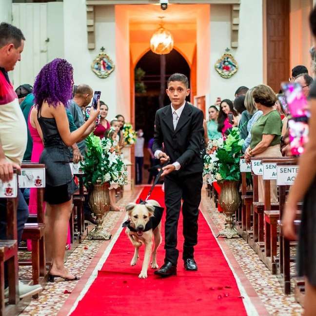 Padre encerra casamento no CE após ver cachorros com alianças