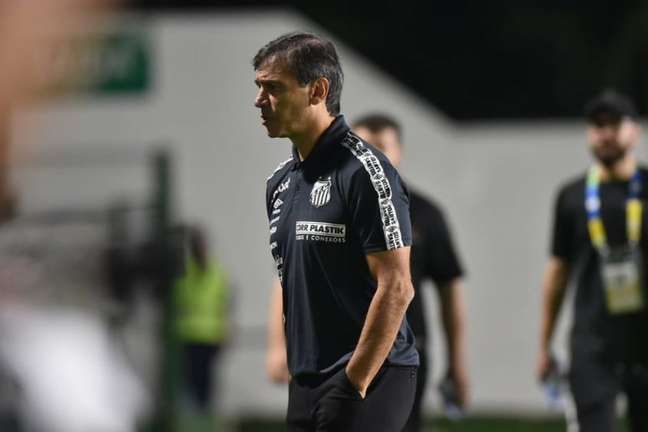 O técnico Fabián Bustos ficou na bronca com a arbitragem no empate do Santos (Foto: Ivan Storti/Santos FC)