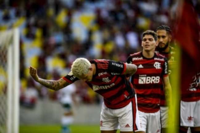 Pedro fez Flamengo 1x0 Goiás (Foto: Marcelo Cortes / Flamengo)
