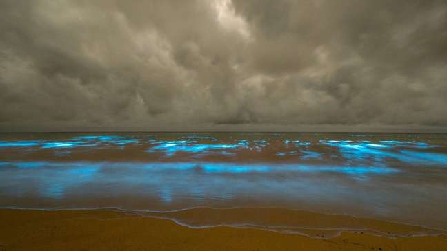 Bioluminescência nas águas da Tasmânia