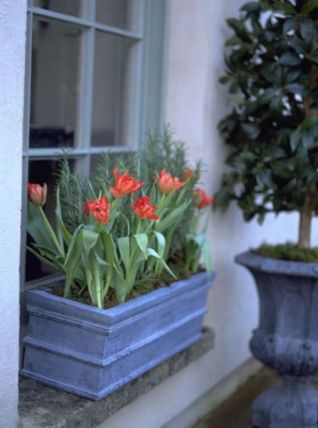 Esta configuração inteligente oferece um cenário lindamente equilibrado de cinza frio e verde, permitindo que as tulipas ocupem o centro do palco. Esta configuração inteligente oferece um cenário lindamente equilibrado de cinza frio e verde, permitindo que as tulipas ocupem o centro do palco.