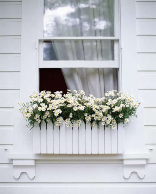 Às vezes, uma simples escolha pode criar todo o impacto que você precisa! Então, por que não escolher uma planta da mesma cor da moldura da sua janela e encher um recipiente nela?