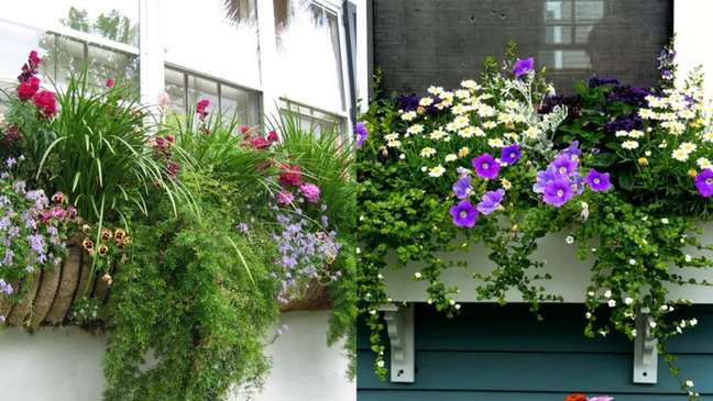 Aderindo à teoria 'mais é mais', este exemplo celebra a primavera com muitas espécies florescendo. / Nesta ideia, a combinação cria uma caixa larga e espalhada que ficará mais cheia à medida que a primavera avança. A paleta de cores roxa e branca mantém as coisas simples, mas ainda com charme. Aderindo à teoria 'mais é mais', este exemplo celebra a primavera com muitas espécies florescendo. / Nesta ideia, a combinação cria uma caixa larga e espalhada que ficará mais cheia à medida que a primavera avança. A paleta de cores roxa e branca mantém as coisas simples, mas ainda com charme.