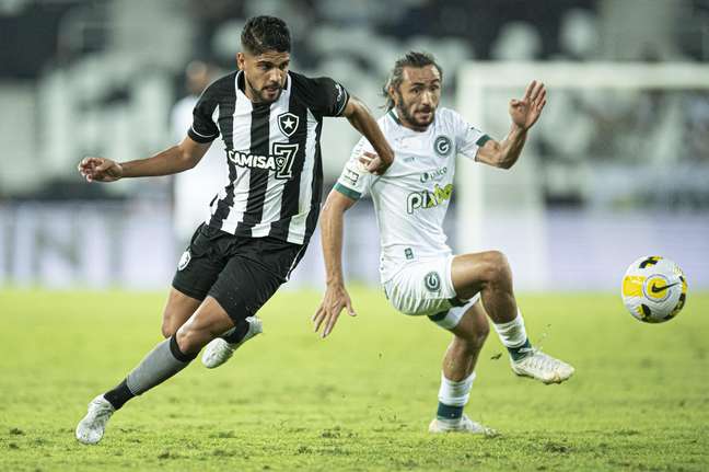 Botafogo perde de virada para o Goi&Atilde;&iexcl;s em partida pelo Brasileir&Atilde;&pound;o