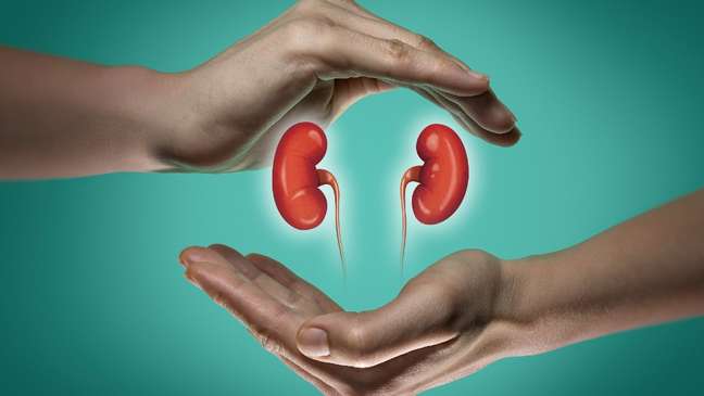 Insuficiência renal pode causar problemas no coração; saiba os 5 alertas de rins fracos