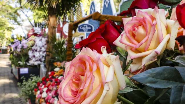 The cars of the Parada das Flores are decorated with elements representing the city of Holambra.