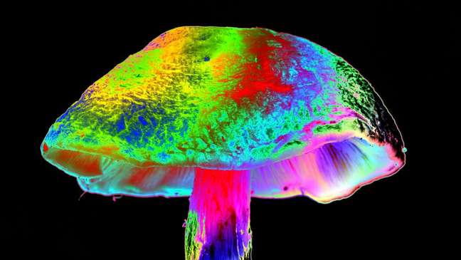 How Psychedelic Drugs Can Treat Depression