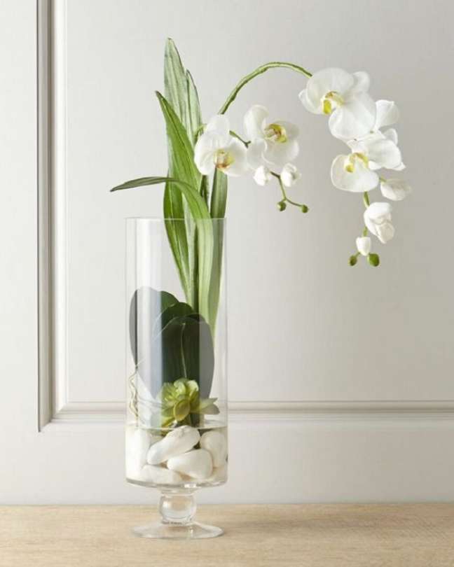 50. Vaso de vidro para orquídeas – Foto ShopStyle