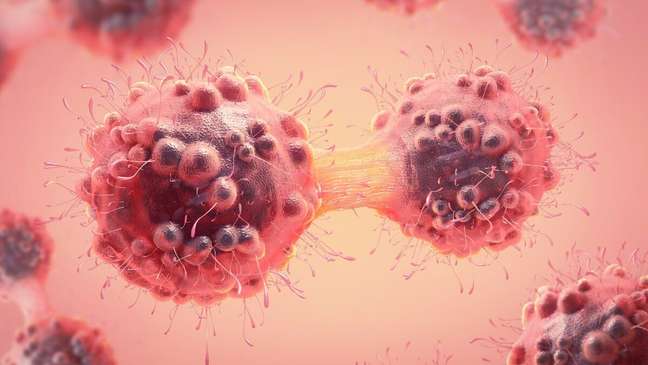 Amazonian bacteria may aid cancer treatment, the study says Amazonian bacteria may aid cancer treatment, the study says