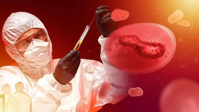 Monkeypox in Brazil: the epidemiologist clarifies 9 myths and truths Monkeypox in Brazil: the epidemiologist clarifies 9 myths and truths