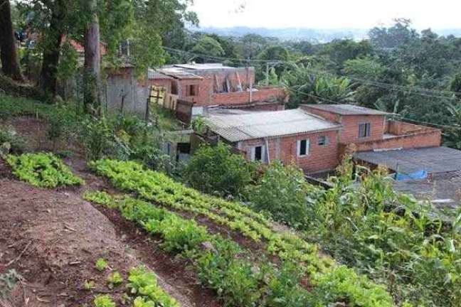 Horta da favela Nova Esperança.