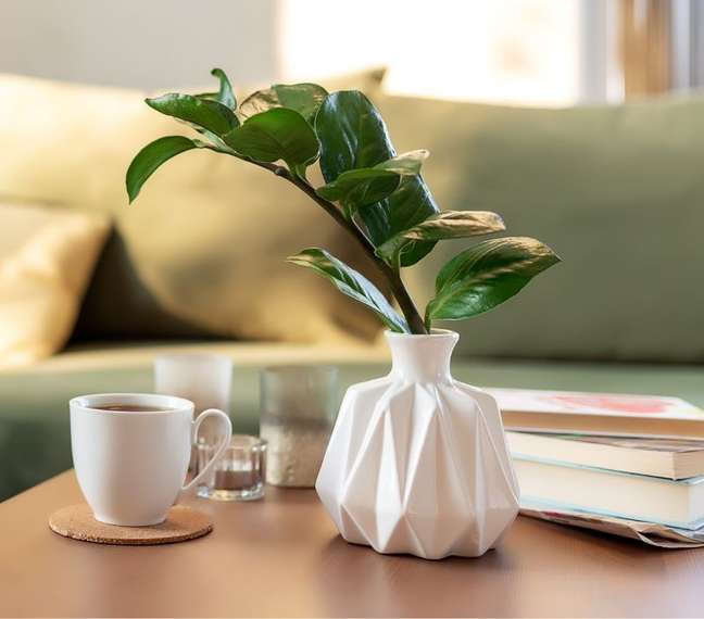 As plantas para a decoração da mesa de centro não podem ficar mais altas do que a altura da visão - Shutterstock
