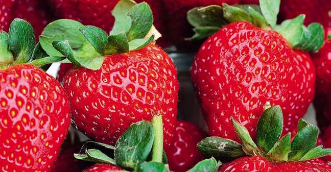 How to grow strawberries at home How to grow strawberries at home