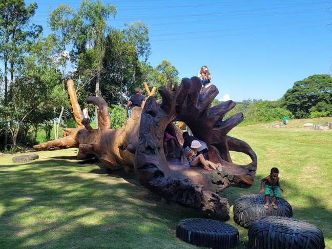 The unit's new toy is a fallen tree that was playfully transformed by artist Hugo França.